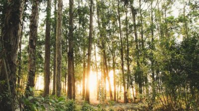 Suat Kılıç’tan Asgari Ücret Eleştirisi: ‘Ücretler Açlık Sınırının Altında’