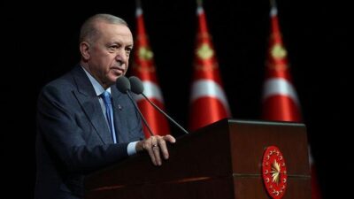 Cumhurbaşkanı Recep Tayyip Erdoğan, Suriyeli