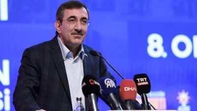 Cevdet Yılmaz, TÜİK verileriyle Türkiye