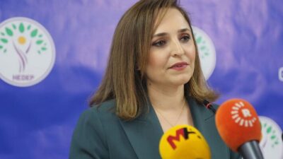 Ayşegül Doğan, TBMM'de Uludere'yi anarak