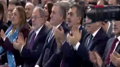 Cumhurbaşkanı Recep Tayyip Erdoğan, AK
