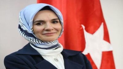 Mahinur Özdemir Göktaş, Türkiye genelinde