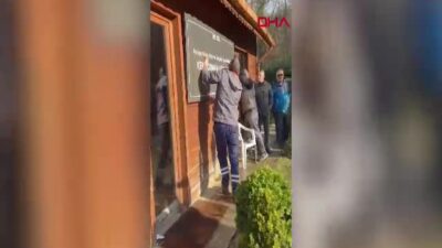 İstanbul Belgrad Ormanı'nda İBB'nin işletme