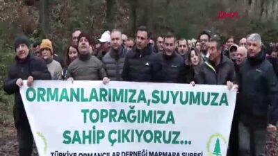 CHP İstanbul İl Başkanı Özgür