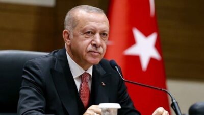 Cumhurbaşkanı Recep Tayyip Erdoğan, Milli