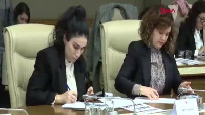 Kamu Başdenetçisi Mehmet Akarca, kadın