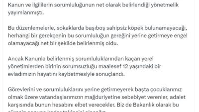 Bakan Yumaklı’dan Hakkari’deki Köpek Saldırısına İlişkin Sert Açıklama: ‘Adalet Karşısında Hesap Verecekler’