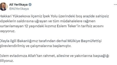 İçişleri Bakanı Ali Yerlikaya, Hakkari'deki