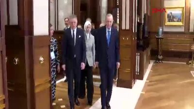 Cumhurbaşkanı Recep Tayyip Erdoğan, Slovakya