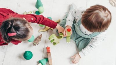 Aile ve Sosyal Hizmetler Bakanlığı,