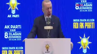 Cumhurbaşkanı Recep Tayyip Erdoğan, AK