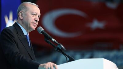 Cumhurbaşkanı Recep Tayyip Erdoğan, AK