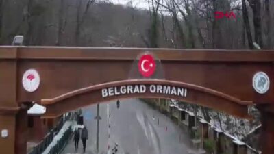 Doğa Koruma ve Milli Parklar