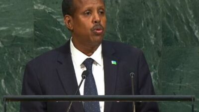 Dışişleri Bakanlığı, Afrika Birliği Komisyon