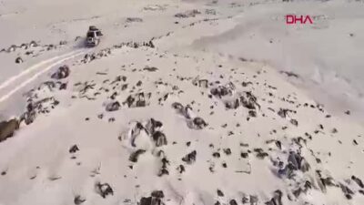 Siverek’te Kar Nedeniyle Mahsur Kalan Hasta, Paletli Ambulansla Kurtarıldı