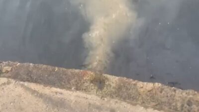 Çevre Bakanlığı, İSKİ'ye Marmara Denizi'ne