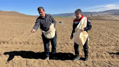 Tarım ve Orman Bakanı İbrahim Yumaklı, Kastamonu’da Sarımsak Ekimine Katıldı