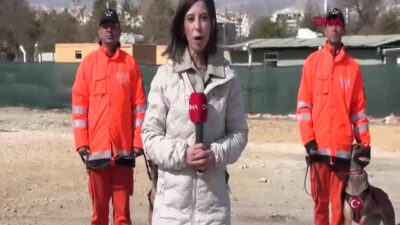 TSK’nın Arama Kurtarma Köpekleri, Afetlerde Can Kurtarmaya Hazır