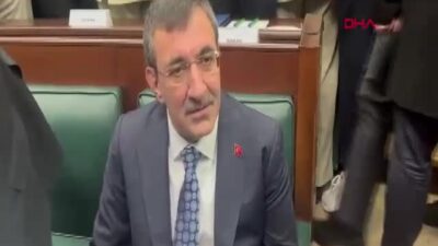 Cumhurbaşkanı Yardımcısı Cevdet Yılmaz, AK