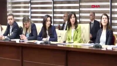 TBMM Kadına Karşı Şiddet ve