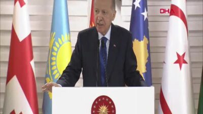 Cumhurbaşkanı Recep Tayyip Erdoğan, Milli