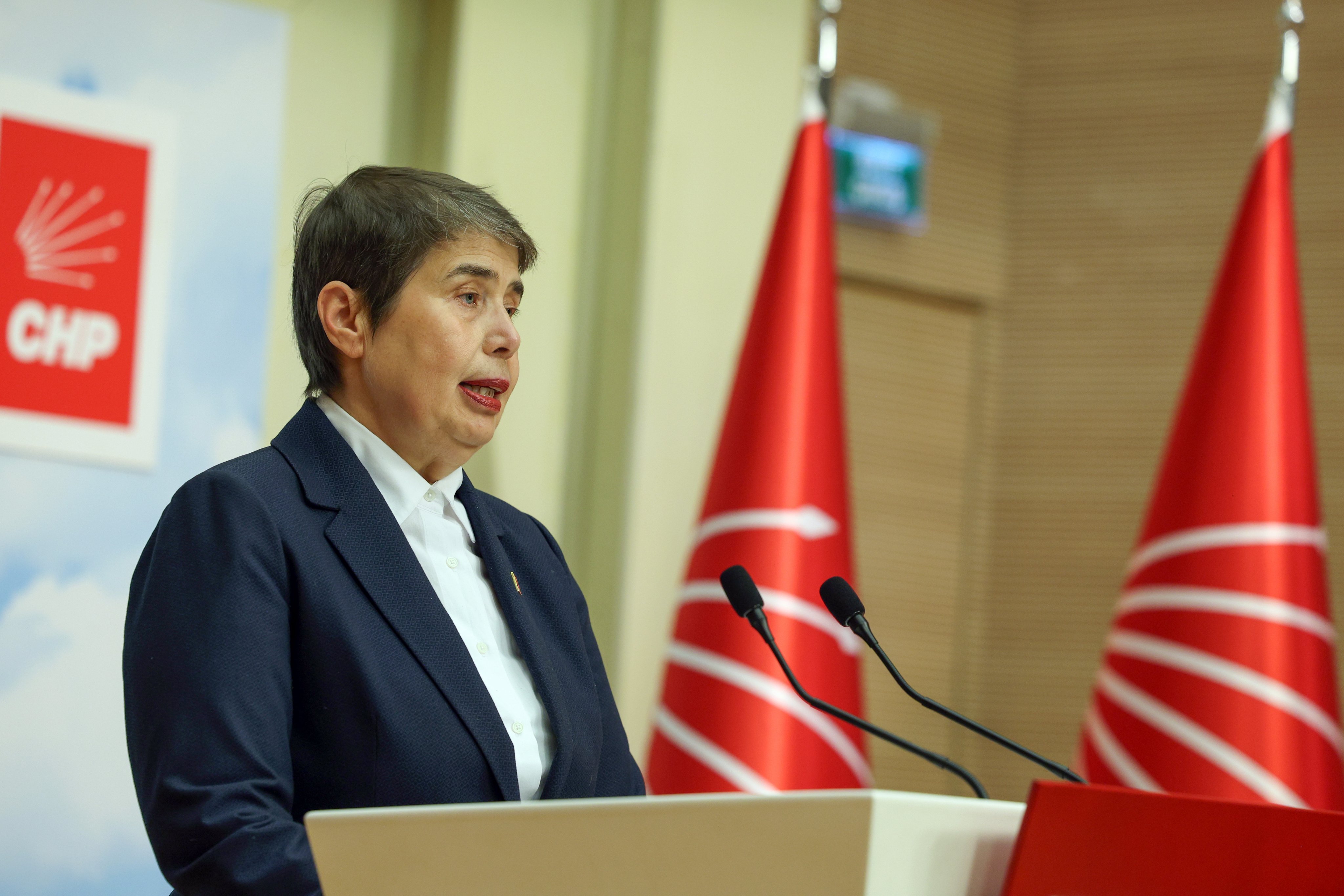 CHP Genel Başkan Yardımcısı