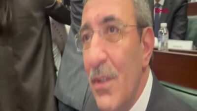 Cumhurbaşkanı Yardımcısı Cevdet Yılmaz, AK