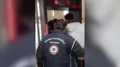 Amasya'da TIR'da kaçak göçmen taşıdıkları