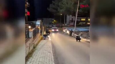 Karabük'ün Safranbolu ilçesinde polis ekipleri,