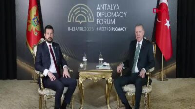 Cumhurbaşkanı Recep Tayyip Erdoğan, Karadağ