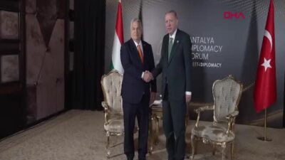 Cumhurbaşkanı Recep Tayyip Erdoğan, Macaristan