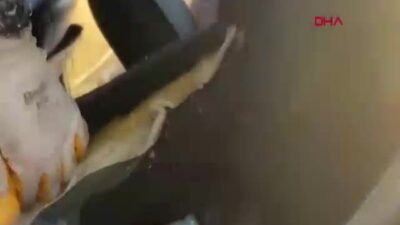 Diyarbakır'da polis ekiplerinin kaçakçılık operasyonlarında