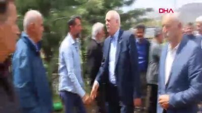 Malatya’da Zirai Don Felaketi: Kayısı Üreticileri Büyük Kayıp Yaşadı