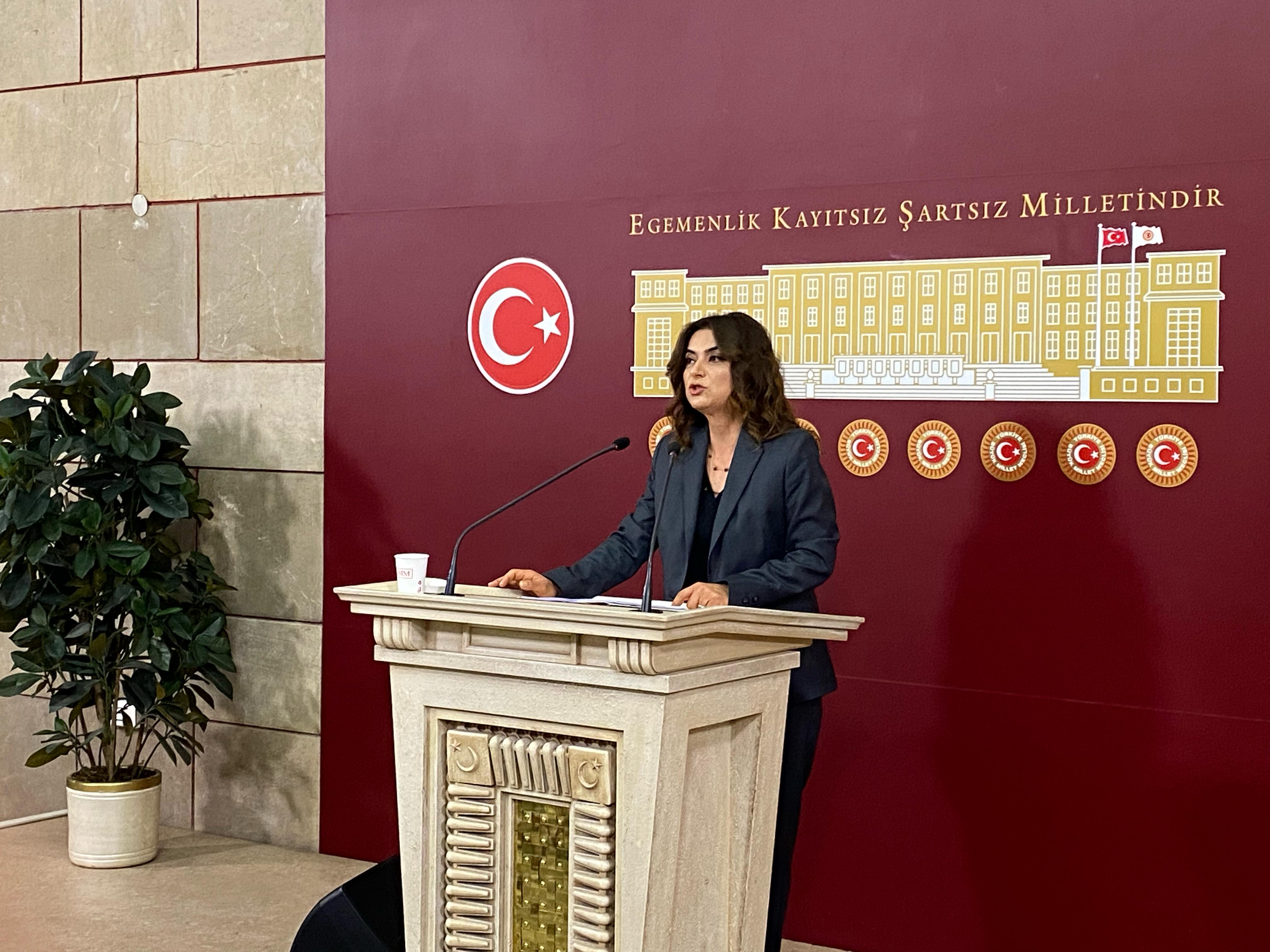 DEM Parti Grup Başkanvekili