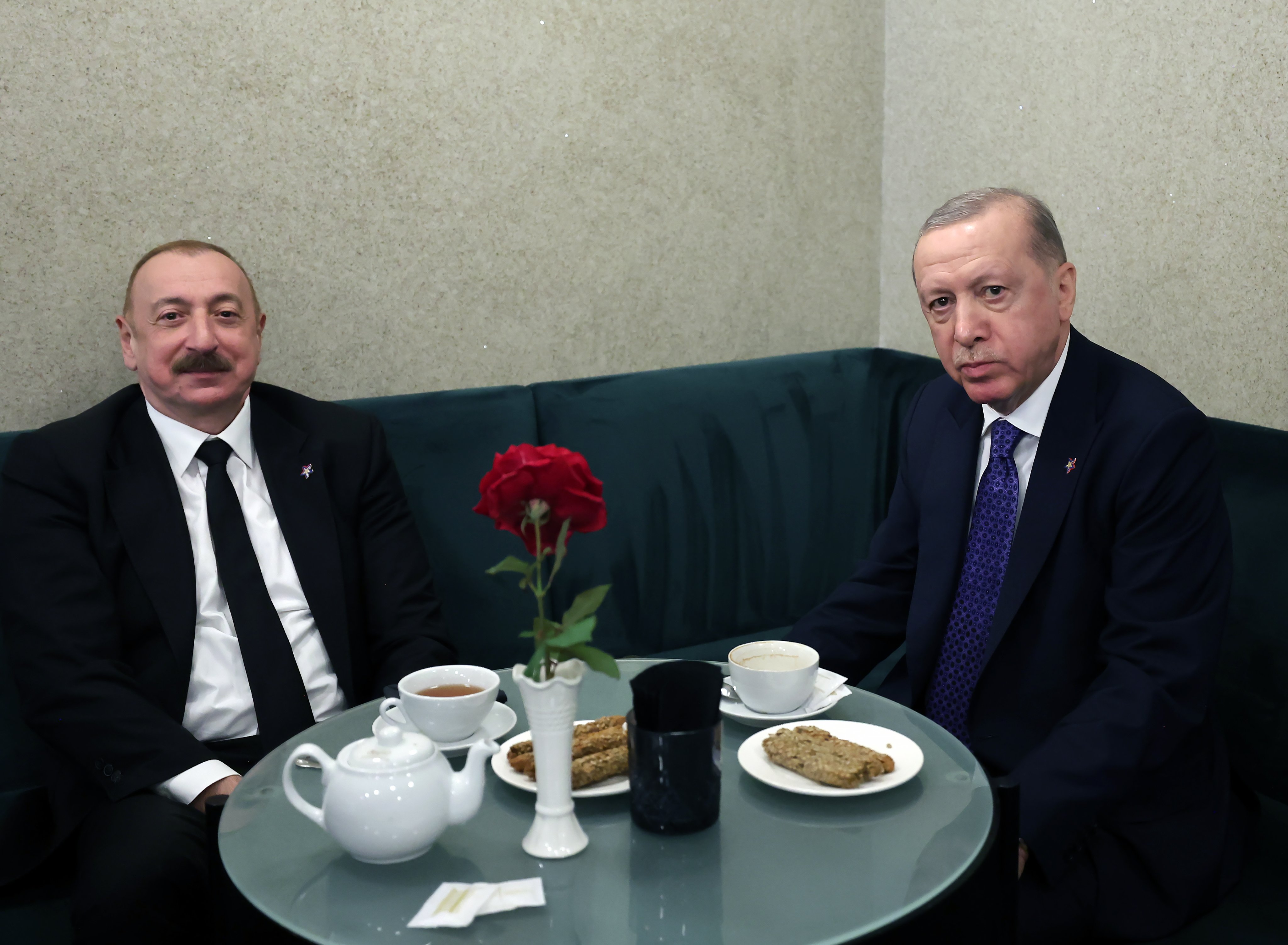 Cumhurbaşkanı Erdoğan, Avrupa Siyasi