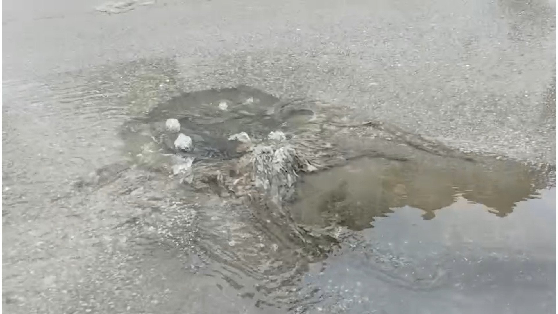 Çevre Bakanlığı, Marmara Denizi'nde