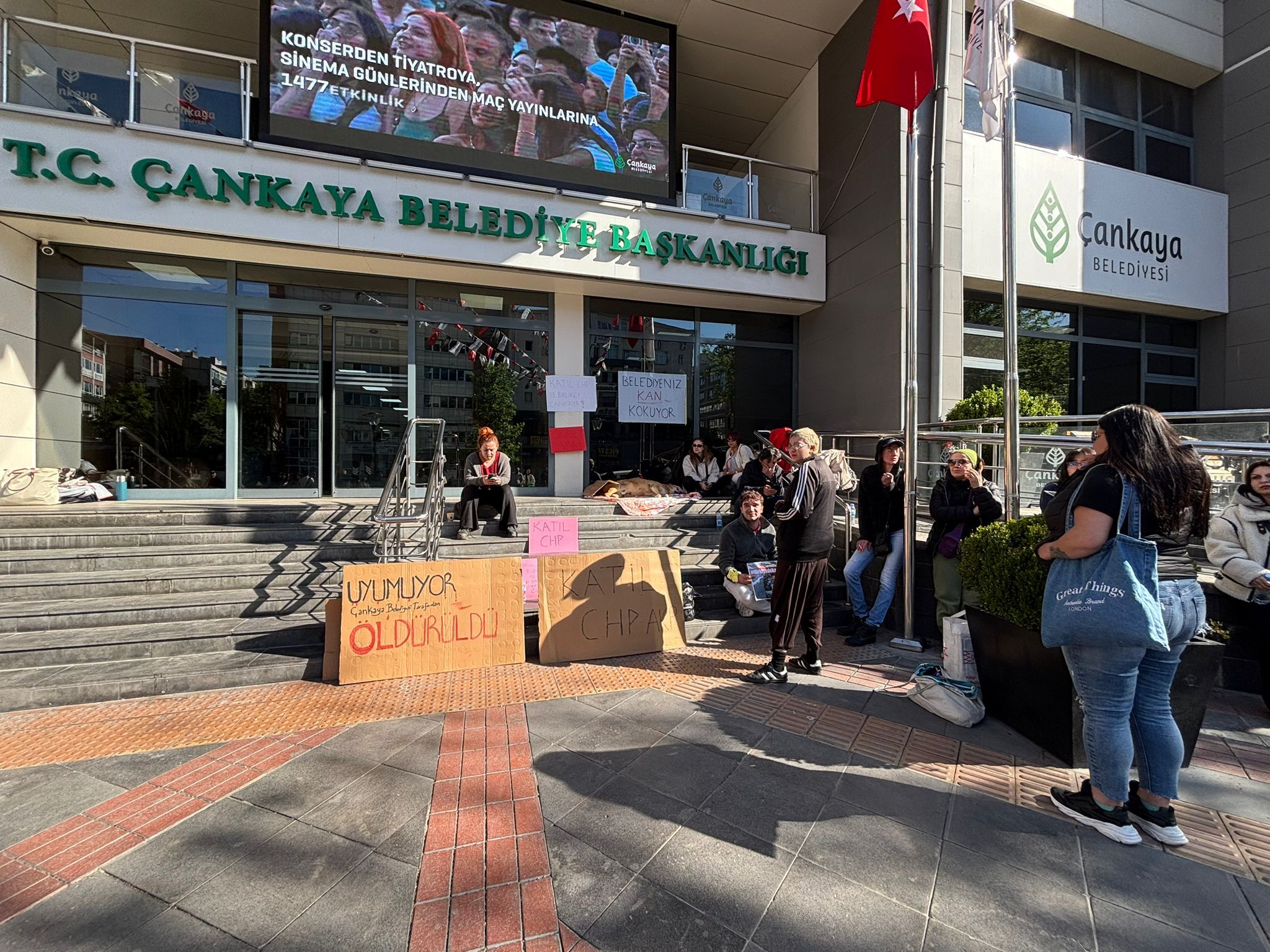 Hayvanseverler, Çankaya Belediyesi'nin sokak