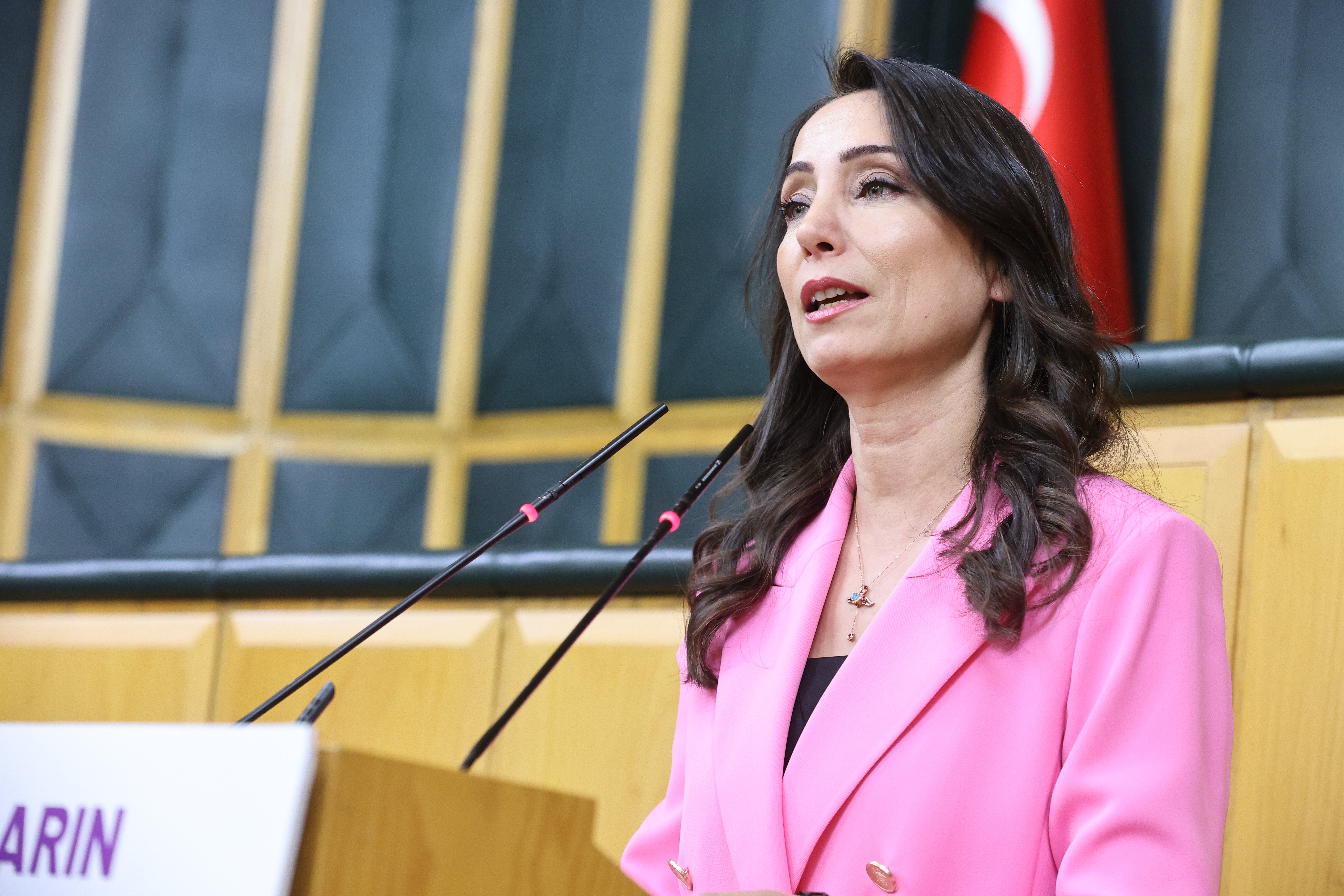 DEM Parti Eş Genel