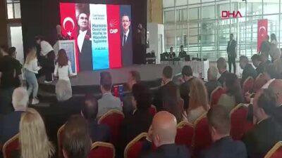 CHP Genel Başkan Yardımcısı Gökan