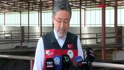 Bakan Yumaklı, Kırsalda Bereket Hayvancılığa Destek Projesi’ni Açıkladı