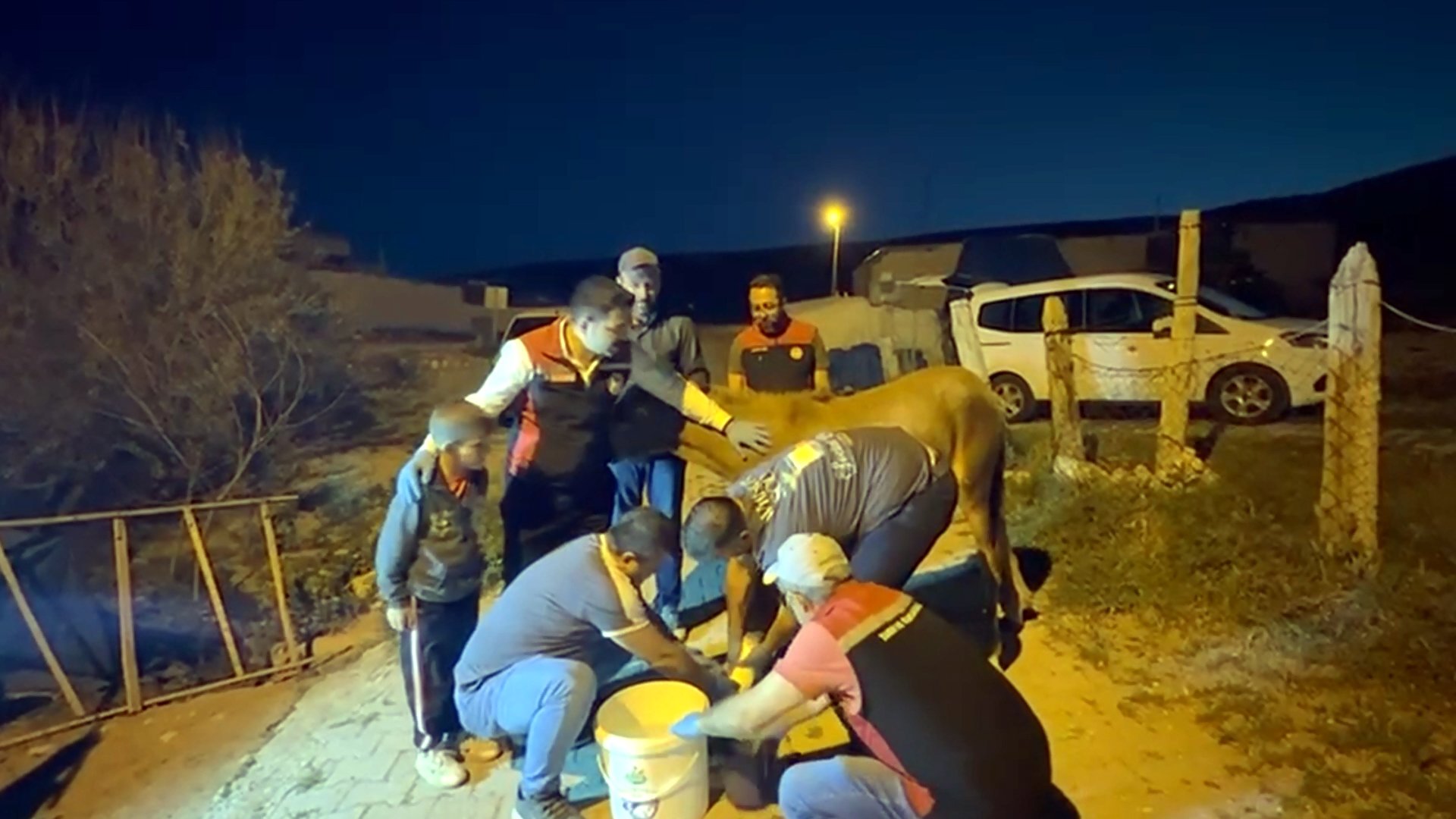 Tarım ve Orman Bakanı