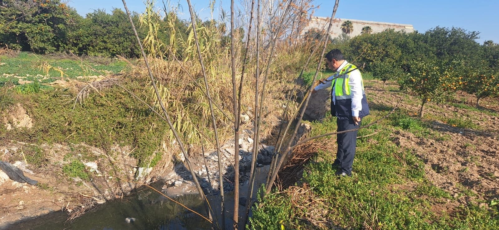 Çevre Bakanlığı, Mersin'deki atık