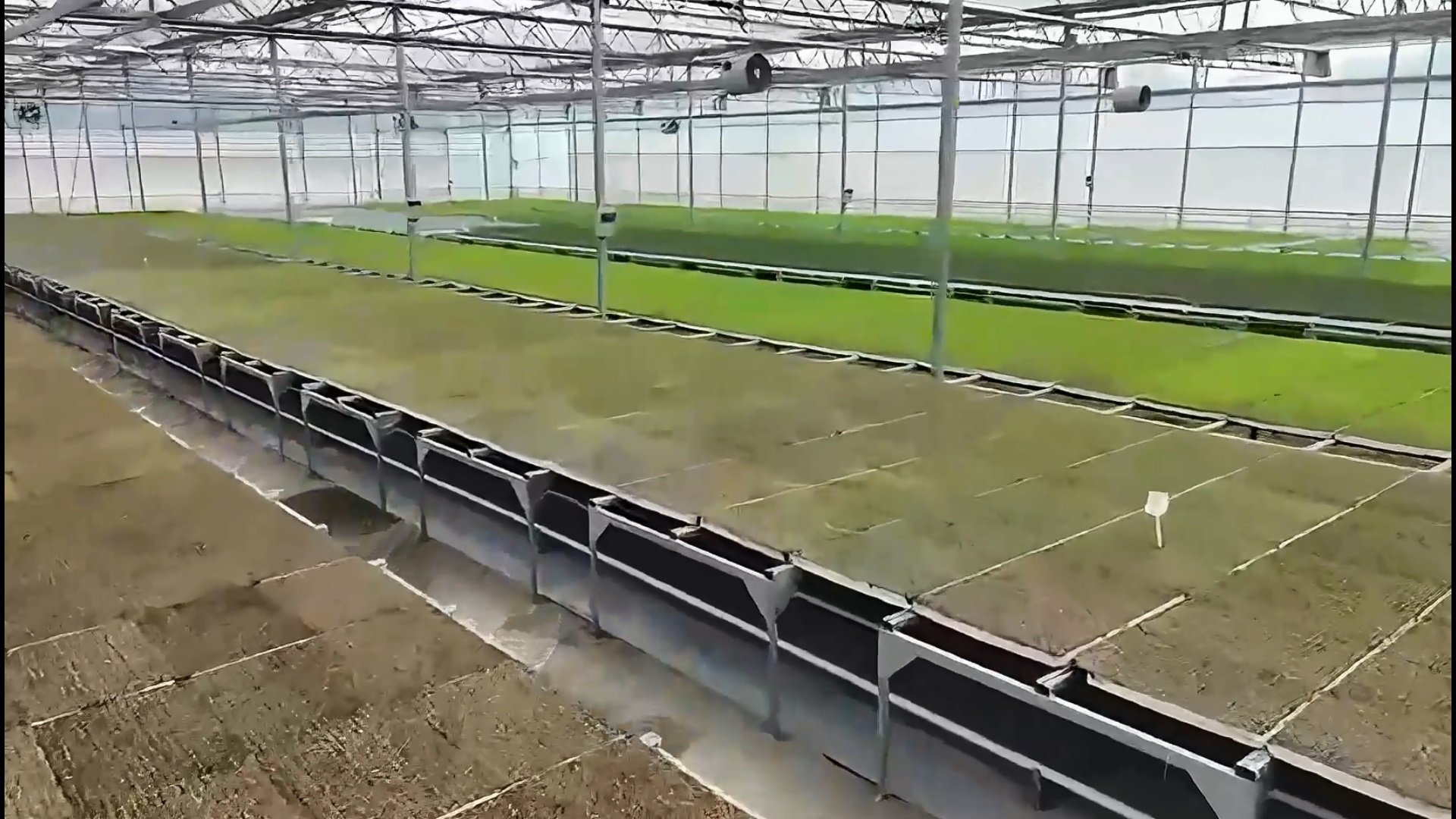 Tarım ve Orman Bakanı