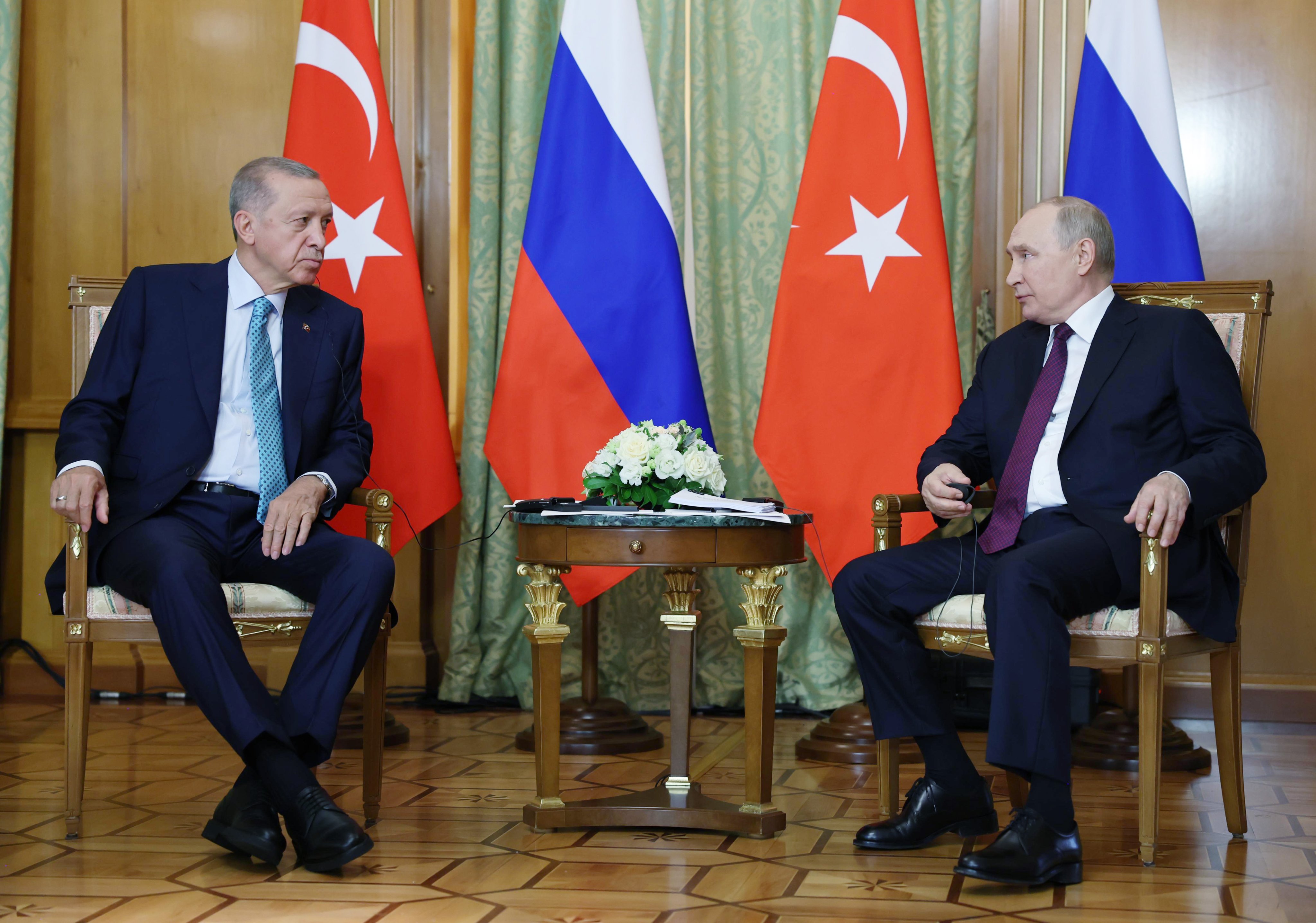 Cumhurbaşkanı Erdoğan ve Putin,
