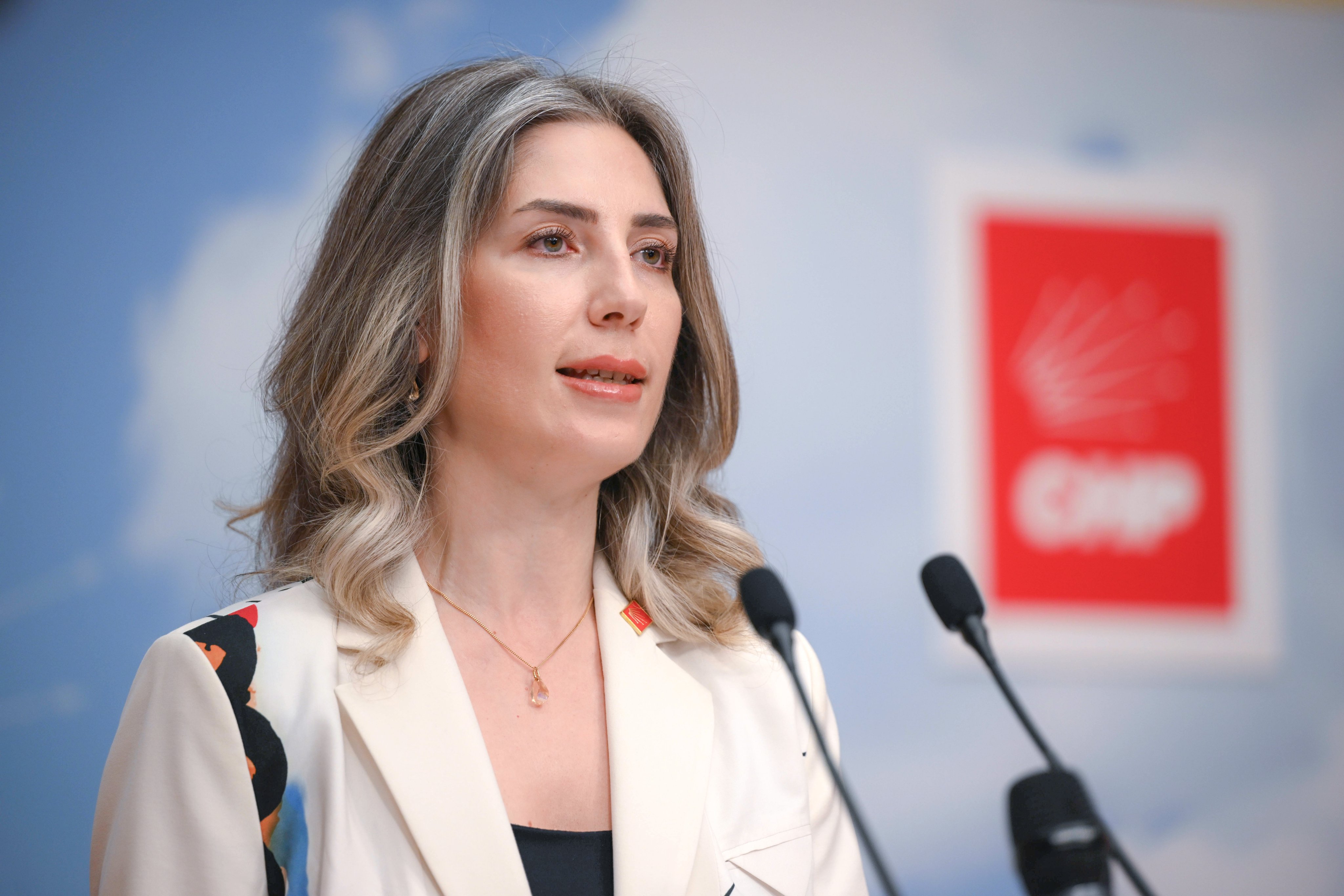 CHP Genel Başkan Yardımcısı