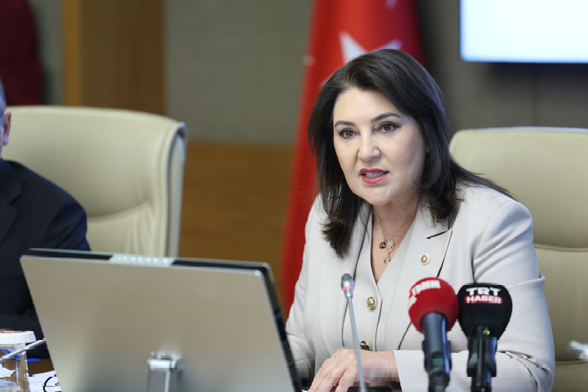 TBMM, Kamu Denetçiliği Kurumu'nun