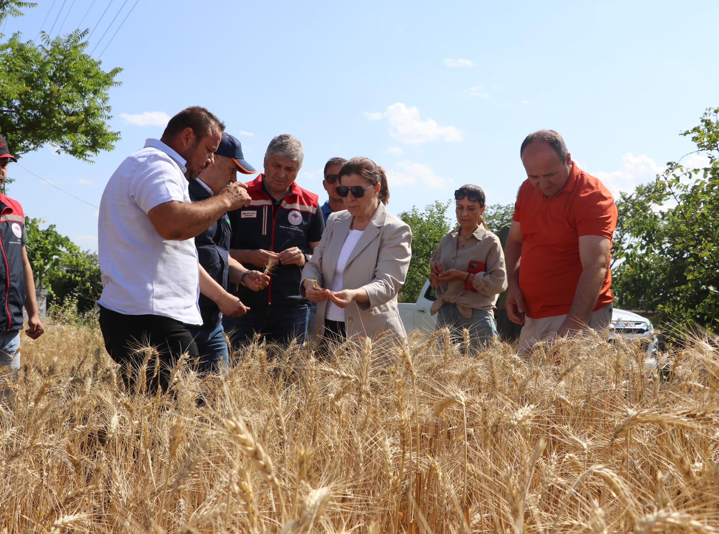 Edirne'nin Uzunköprü ilçesinde dolu