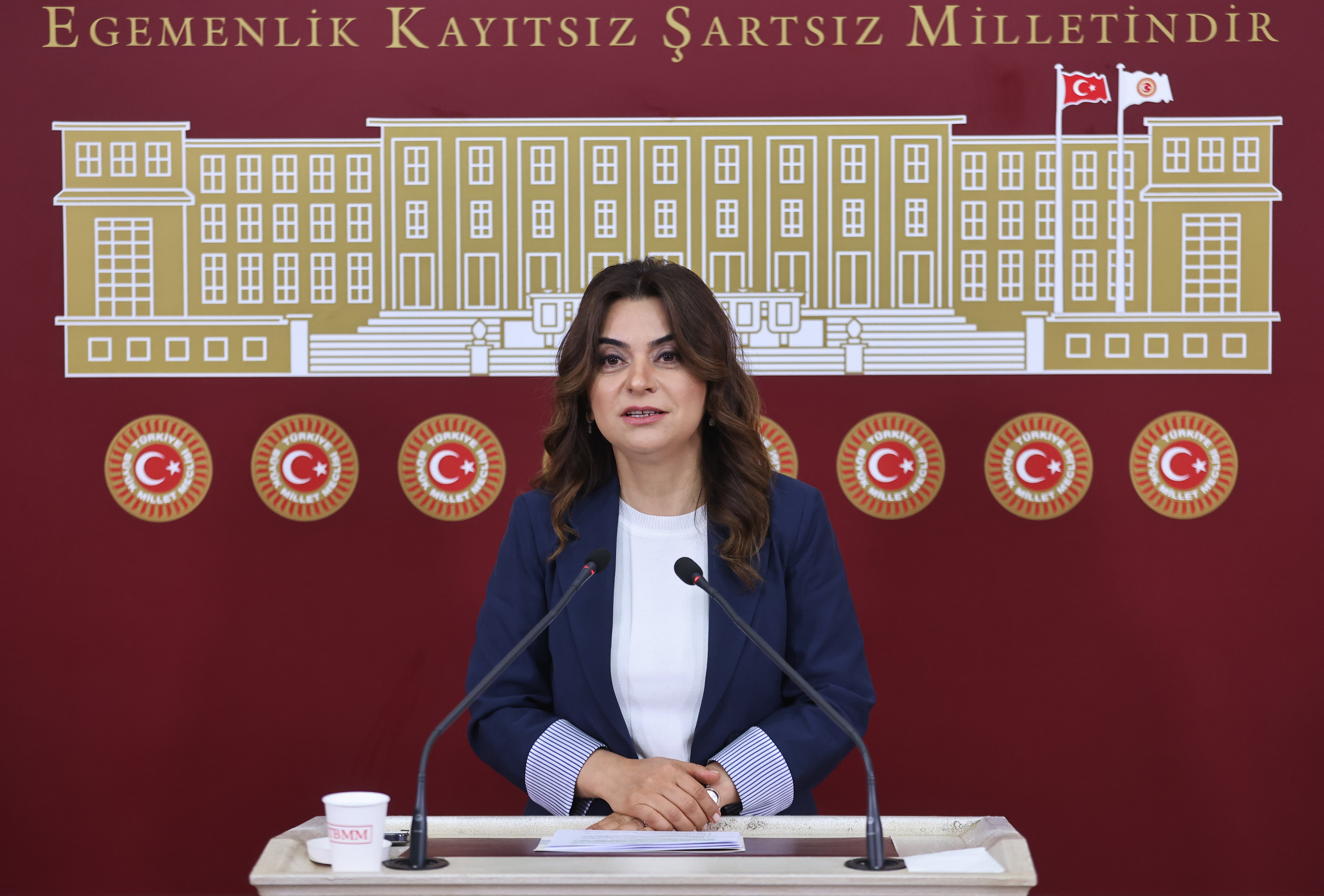 DEM Parti’li Koçyiğit’ten Çarpıcı Açıklama: <strong>‘Tüm Siyasi Partiler İmralı’ya Gitmeli’</strong>