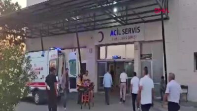 Diyarbakır'ın Silvan ilçesinde Silvan Muhtarlar