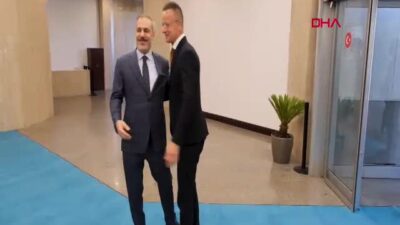 Dışişleri Bakanı Hakan Fidan, Macaristan